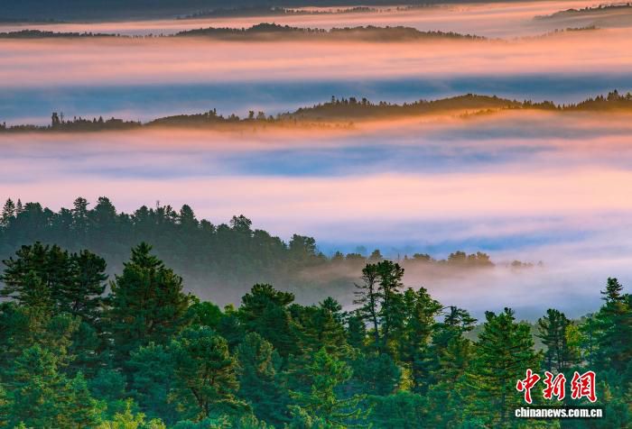 伊春启动夏季避暑旅游“百日行动” 以“森林游乐场”主题升级文旅产品  第2张