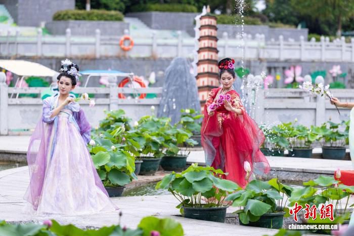 广州番禺莲花山荷花季启幕 展出逾1800个莲荷品种  第3张