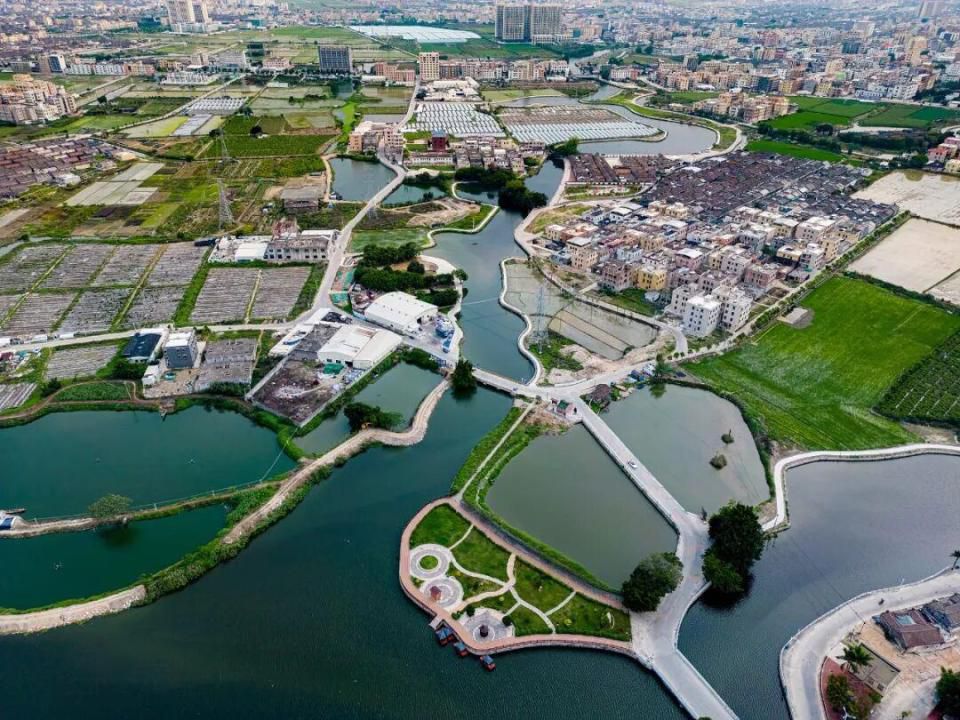 央视新闻“行影中国”行动首站落地广东汕头  第15张