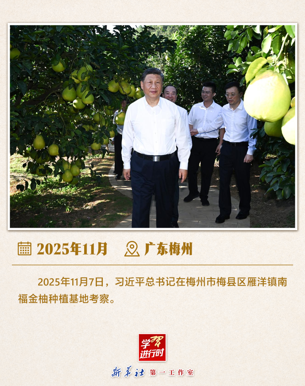 学习进行时 | 习近平总书记山东考察关注“三夏”生产  第2张