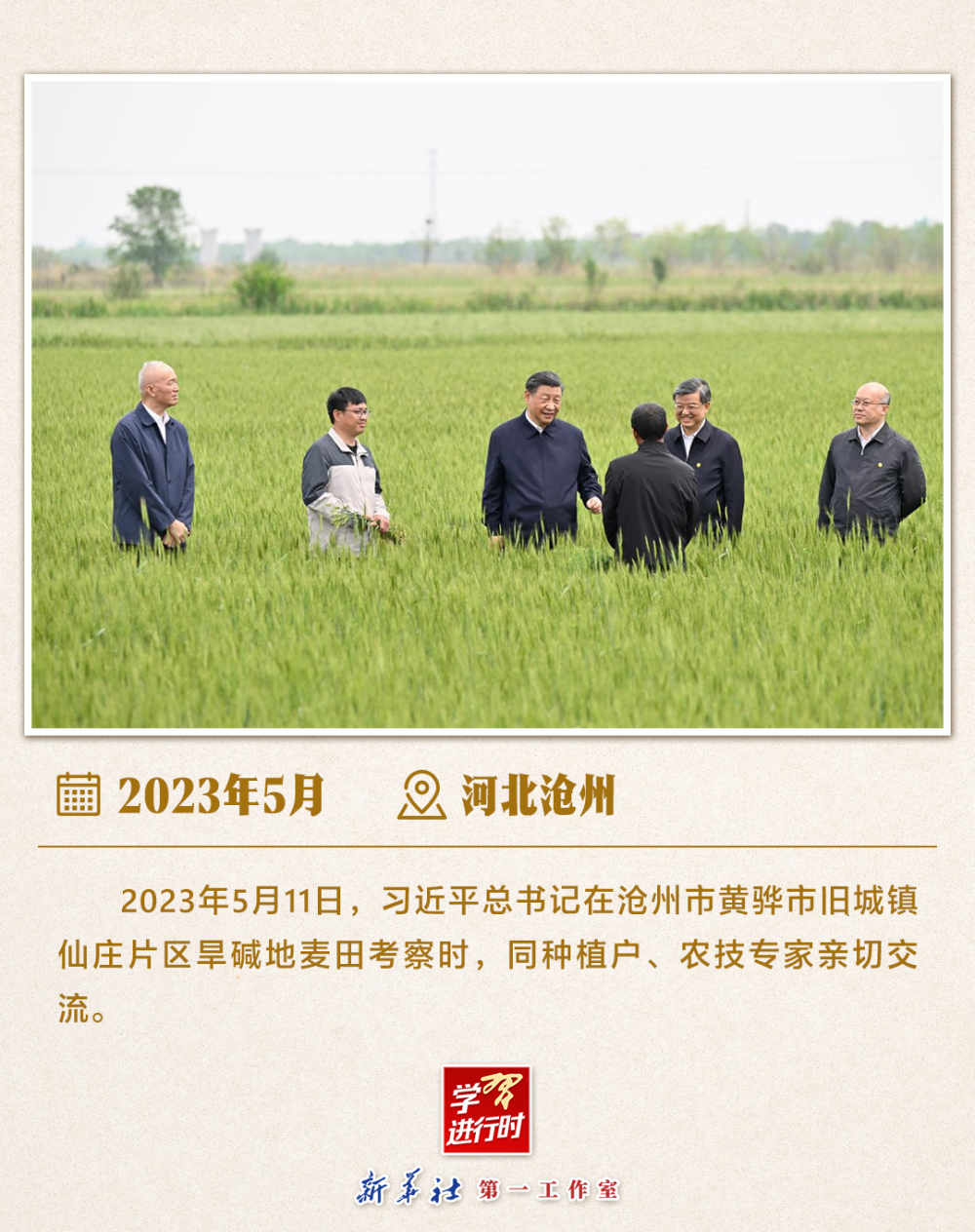 学习进行时 | 习近平总书记山东考察关注“三夏”生产  第7张