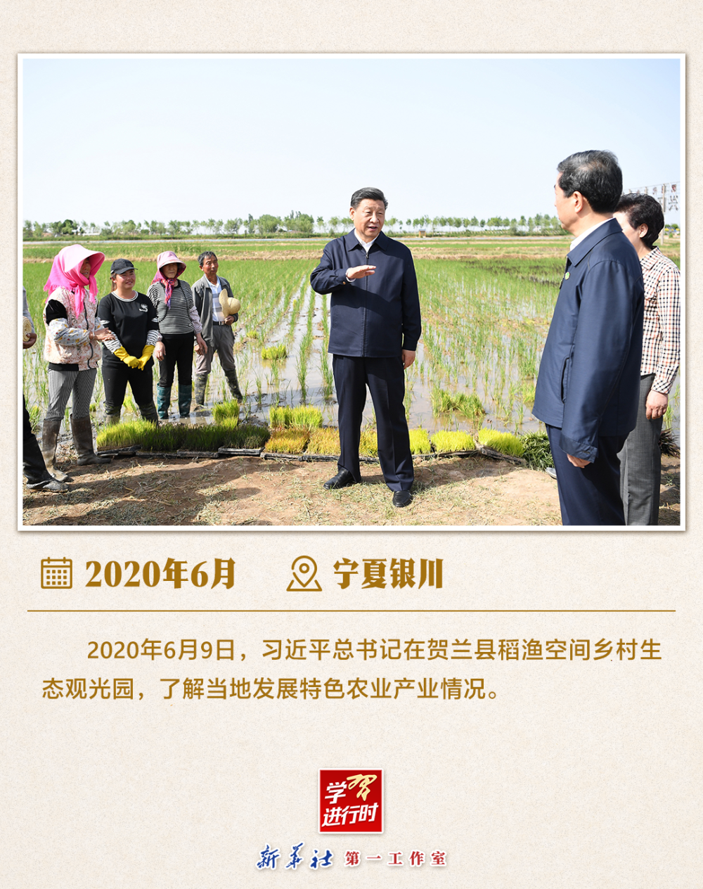 学习进行时 | 习近平总书记山东考察关注“三夏”生产  第13张