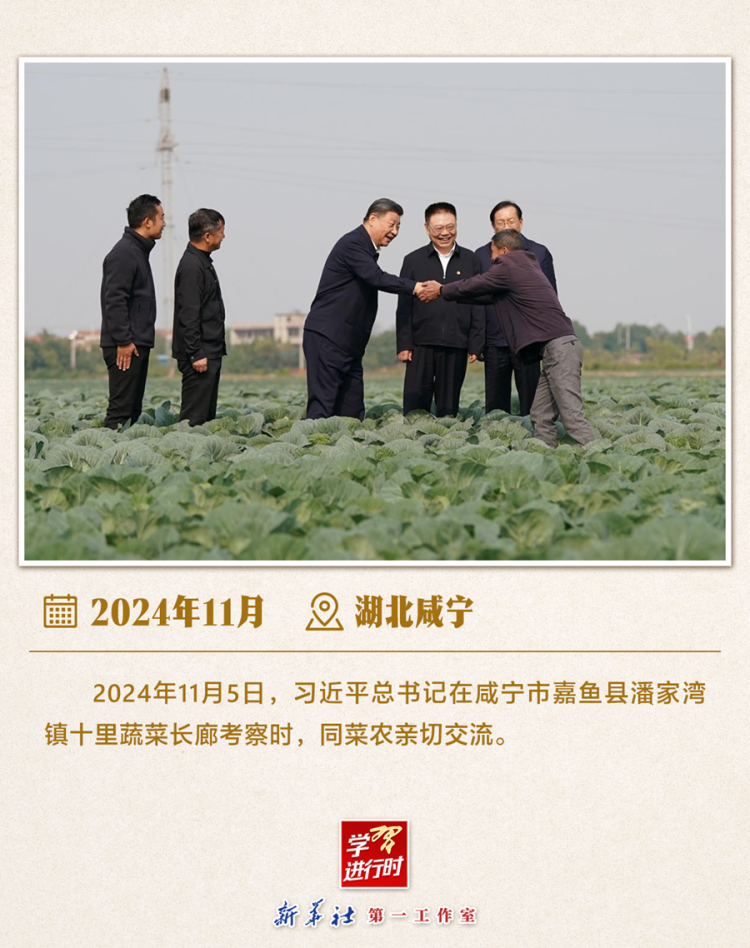 习近平总书记6月24日调研山东德州“三夏”生产工作  第3张