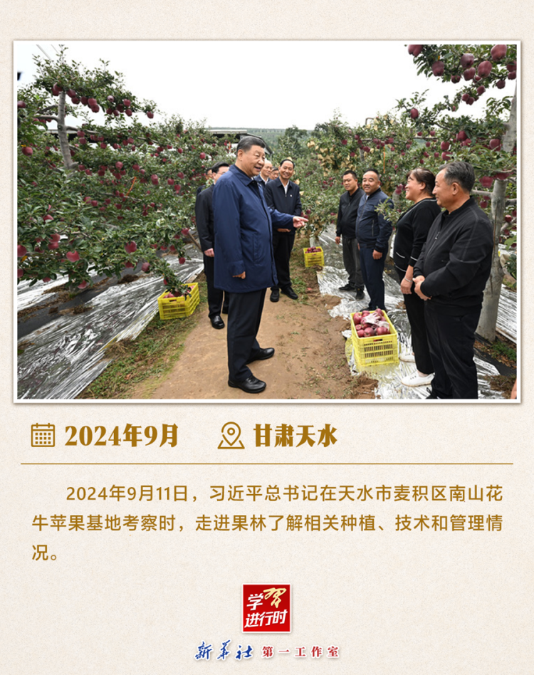 习近平总书记6月24日调研山东德州“三夏”生产工作  第4张