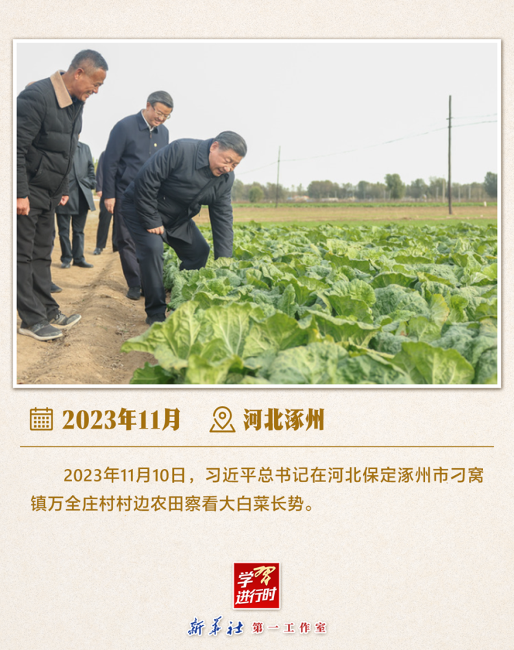 习近平总书记6月24日调研山东德州“三夏”生产工作  第6张