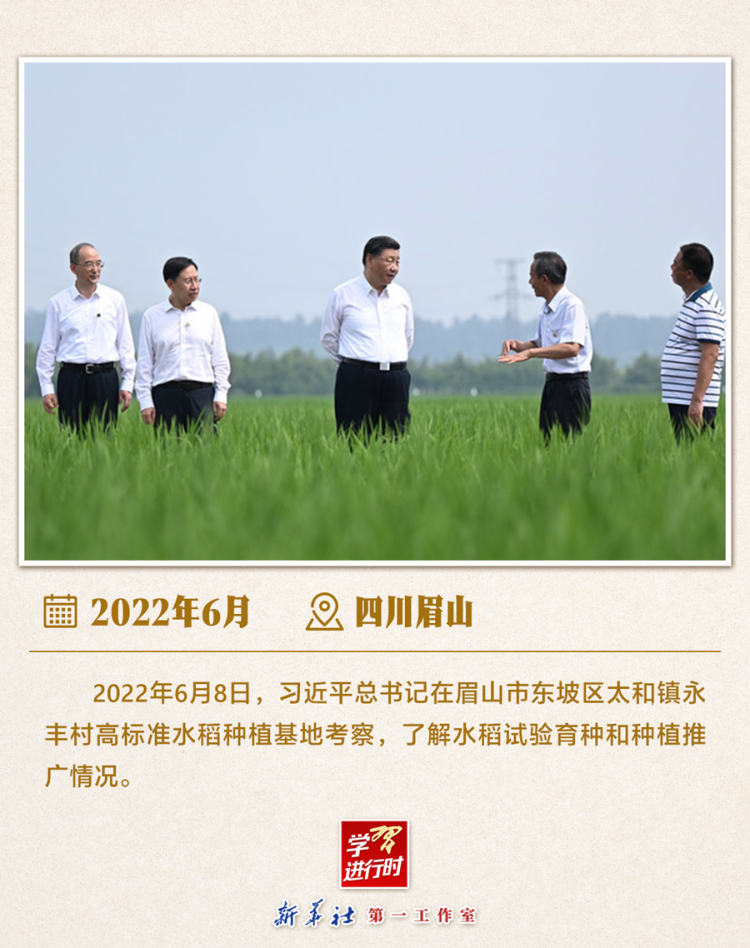 习近平总书记6月24日调研山东德州“三夏”生产工作  第8张