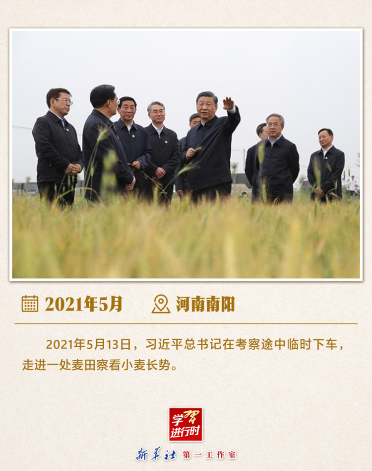 习近平总书记6月24日调研山东德州“三夏”生产工作  第10张