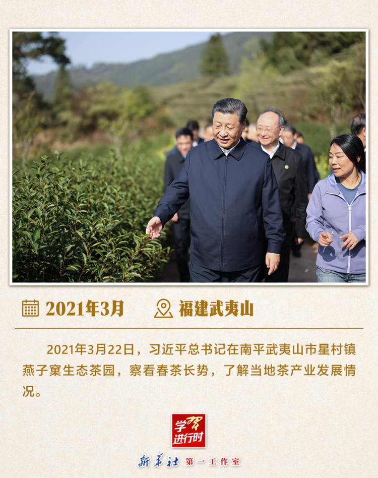 习近平总书记6月24日调研山东德州“三夏”生产工作  第11张