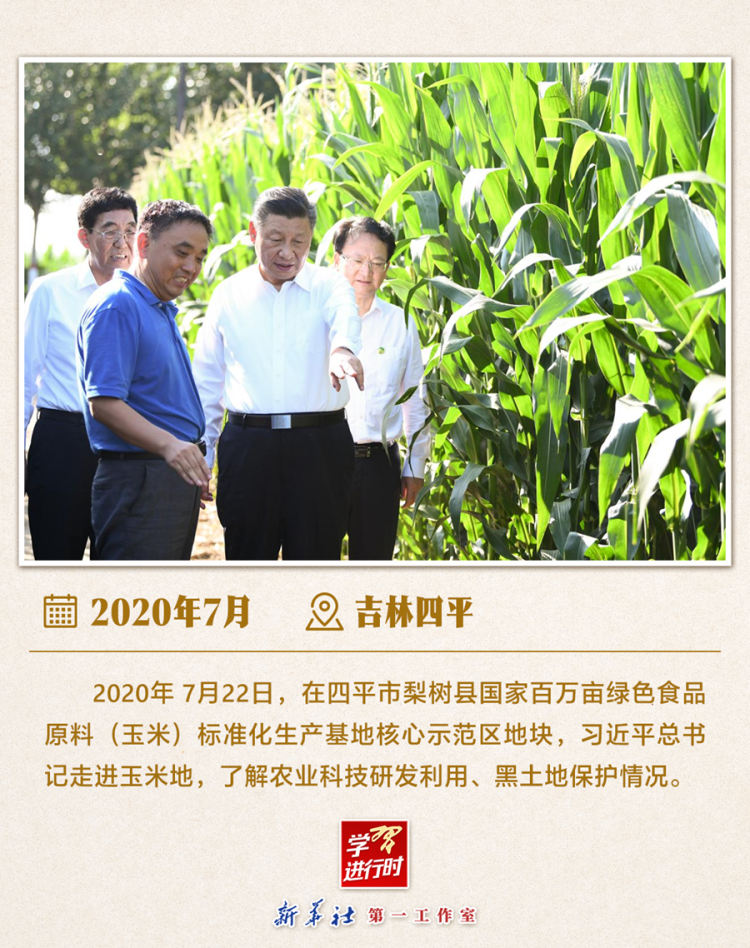 习近平总书记6月24日调研山东德州“三夏”生产工作  第12张