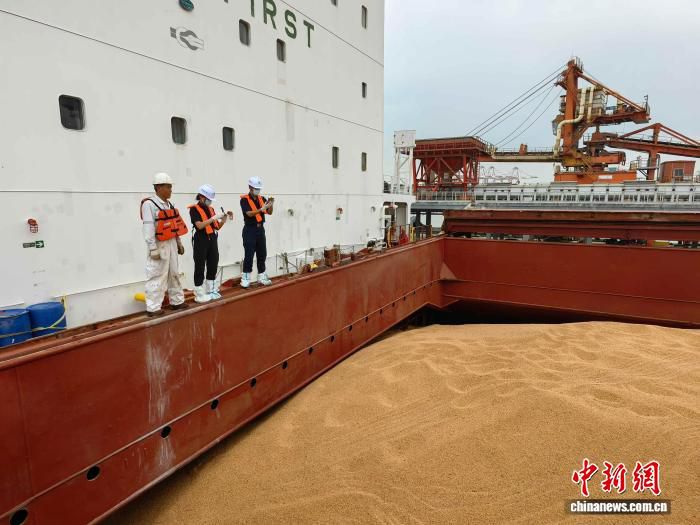 广东省首单大豆离岸现货保税交易落地南沙 约2.8万吨进口大豆完成通关入库
