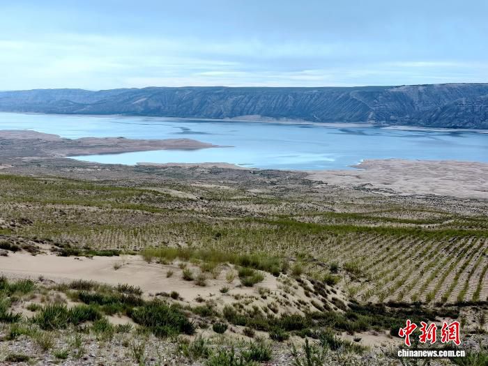 青海共和龙羊峡库区长期面临“飞沙入黄”生态威胁