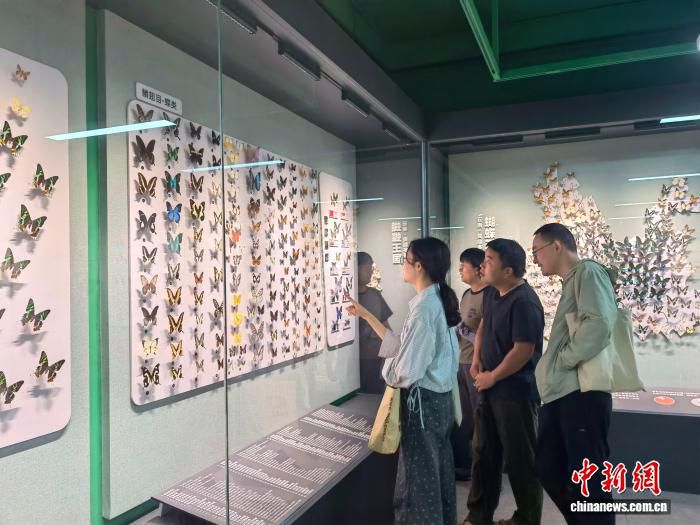 中国科学院昆明动物研究所昆明动物博物馆“探秘昆虫王国”展6月27日开展
