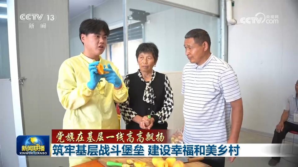 河南兰考代庄村：从软弱涣散村到全国先进基层党组织