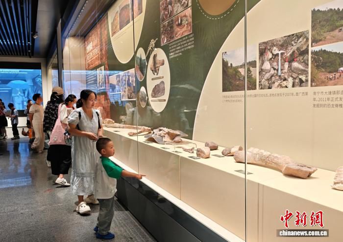 “巨兽觉醒”广西恐龙科普展在无锡启幕 200余件展品亮相  第3张