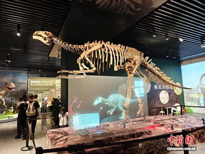 “巨兽觉醒”广西恐龙科普展在无锡启幕 200余件展品亮相