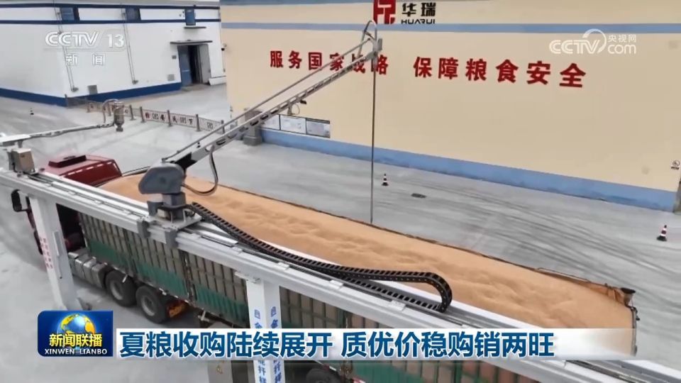 夏粮收购正由南向北陆续展开 全国累计收购已超4000万吨  第1张