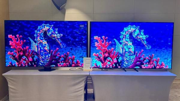 海信携RGBX多基色显示技术亮相多基色显示生态大会