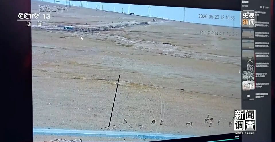 青藏铁路通车20年：旅游旺季增开列车，西宁站换车厢成日常  第16张