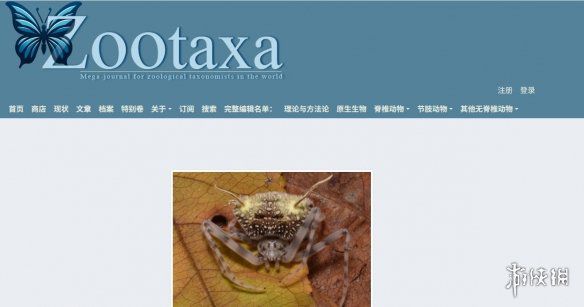 塔察诺夫斯基蛛在亚马逊被发现：伪装成真菌寄生尸体  第2张