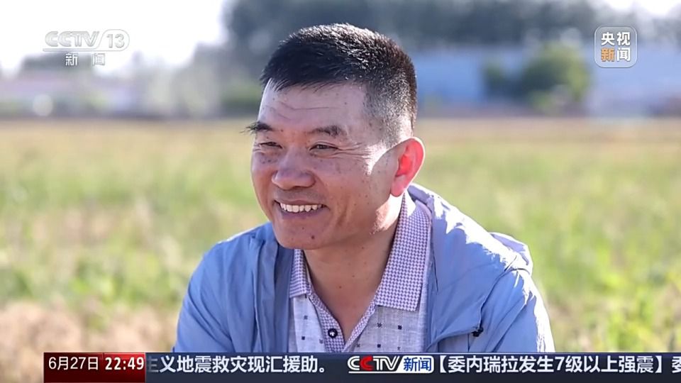 六月新疆沙漠麦田传喜讯 跨省种田人增多  第8张