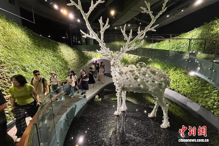 两岸媒体探访成都社区：感受生态宜居与共建共享新样本