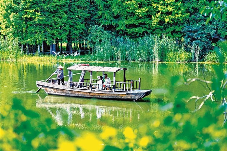 国家林草局发布第一批特色生态旅游地典型案例，20个项目入选  第2张