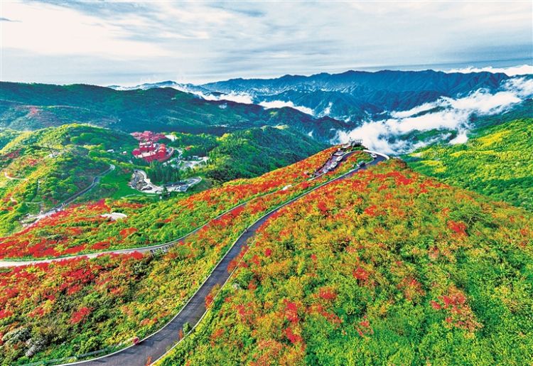 国家林草局发布第一批特色生态旅游地典型案例，20个项目入选  第4张