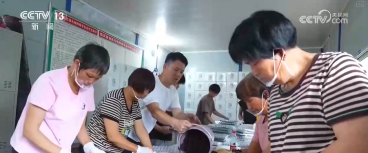 2026年15月全国社会物流总额146.6万亿元 同比增长5.2  第2张