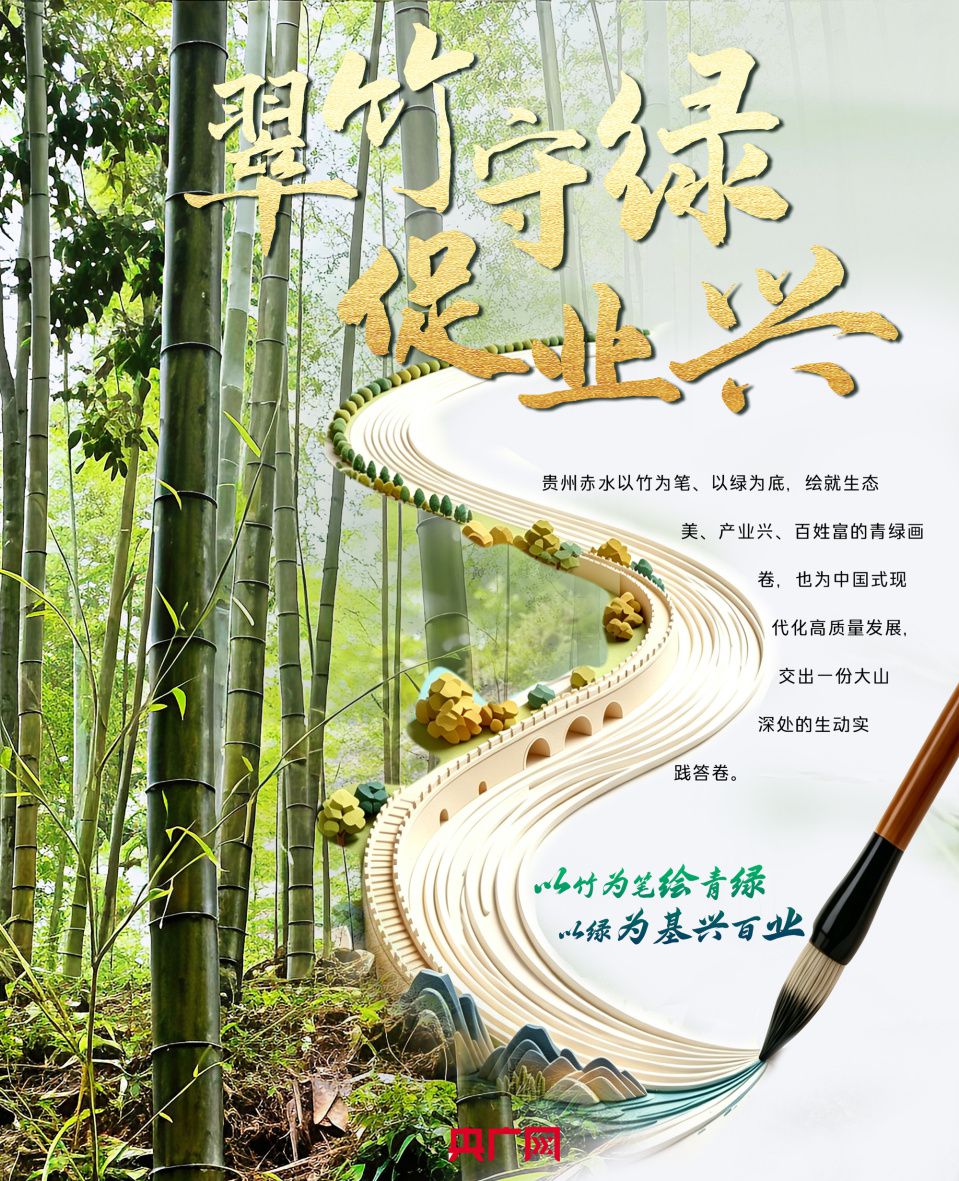 贵州赤水132.8万亩竹林形成西南最大连片竹海  第4张