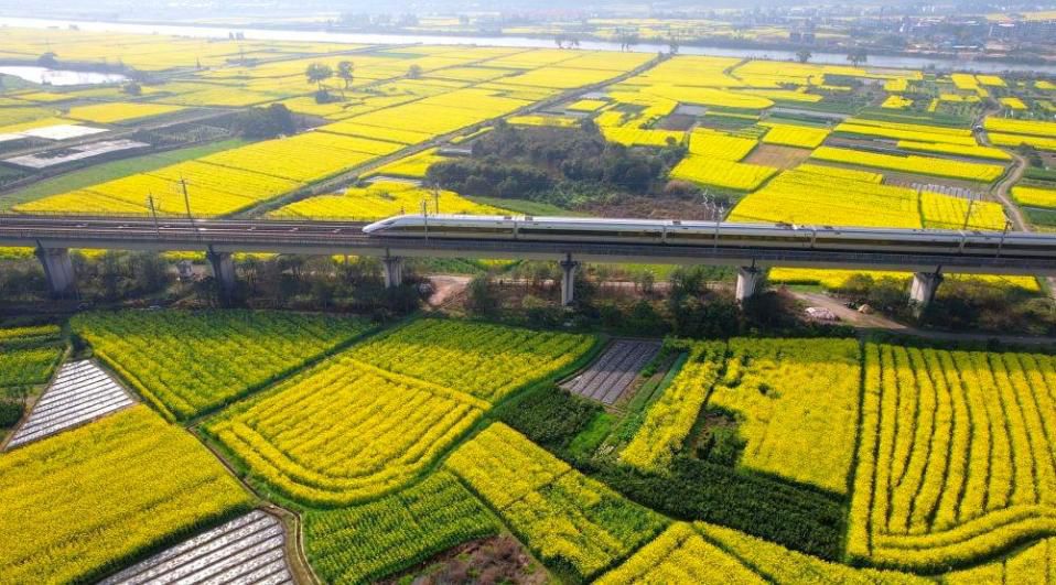 6月24日习近平总书记在山东德州考察 强调齐心协力走好新的长征路  第4张