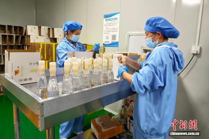 闽宁协作三十载：六盘山地区实践成效显著  第2张