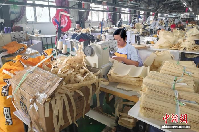 闽宁协作三十载：六盘山地区实践成效显著