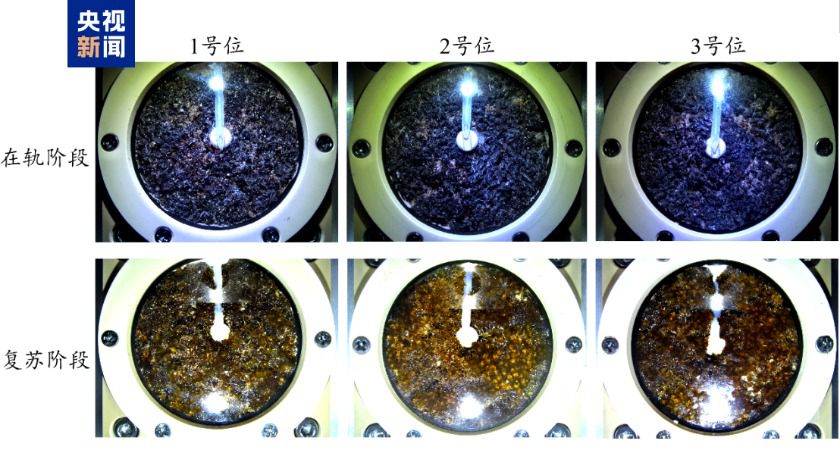 中国科学院微小卫星创新研究院发布轻舟试验飞船第二批在轨试验成果  第3张