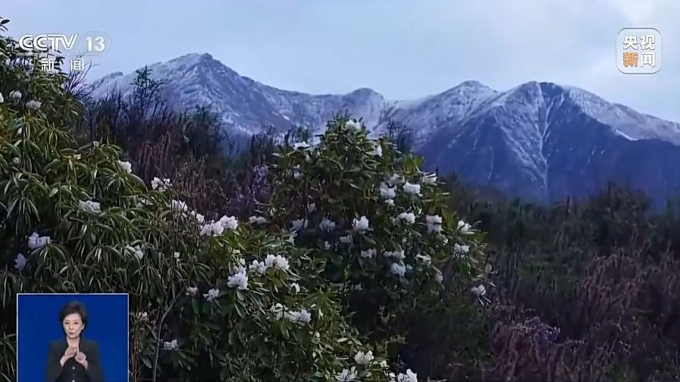 暑期旅游预订市场提前升温 出游高峰期贯穿7月至8月中下旬  第5张