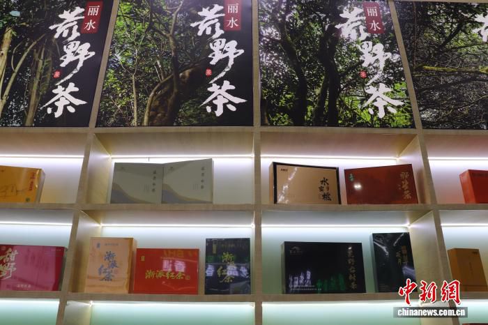 庆元县明确荒野茶树龄超五十年标准推进产业深加工  第2张