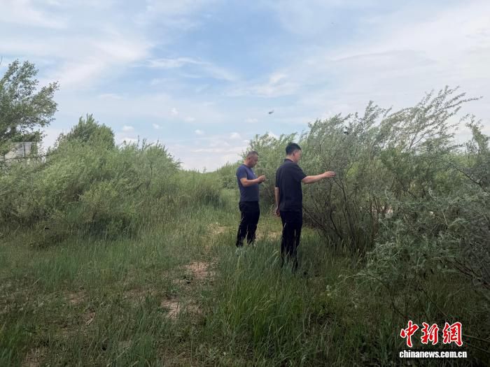 内蒙古乌兰察布化德县七号镇273名护林员管护12万亩林地  第3张