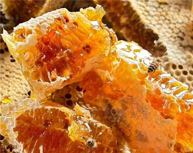 蜂蜜选购三大筛选逻辑：聚焦原生态土蜜，规避勾兑加工陷阱