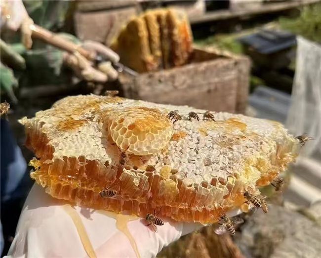 蜂蜜选购三大筛选逻辑：聚焦原生态土蜜，规避勾兑加工陷阱  第4张