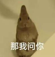 诡秘之主》游戏历时四年首度公开亮相  第11张