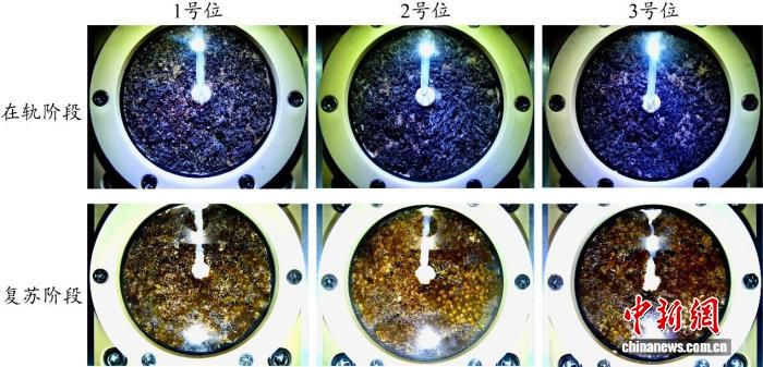 轻舟试验飞船发布第二批在轨成果 涉及太空医院与生物培养  第3张