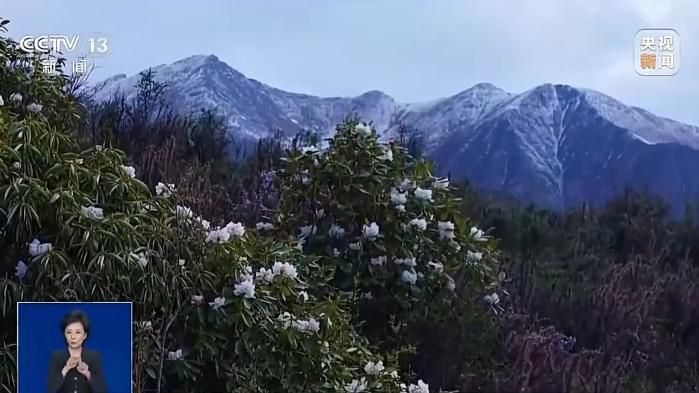 暑期旅游预订市场升温 亲子家庭主导7至8月出行高峰  第5张