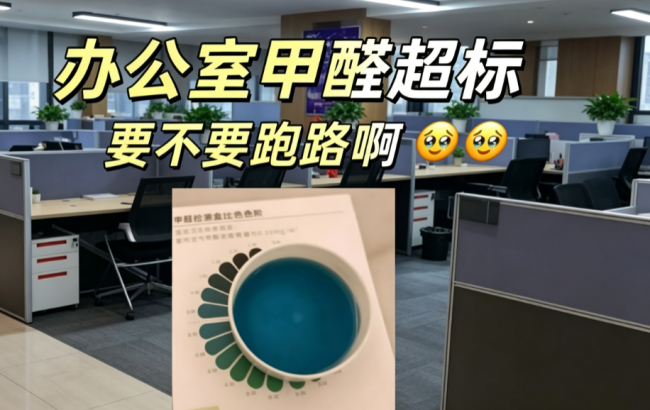 办公室甲醛问题应对方案：超标判断、个人防护与合规维权三步指南