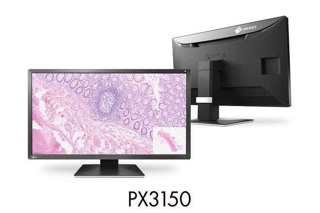 艺卓发布首款数字病理图像显示器PX3150，配备30.5英寸DCI 4K面板