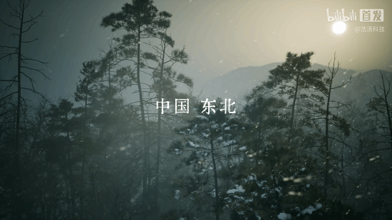 抵抗者》:一款国产FPS游戏 第3张 抵抗者》:一款国产FPS游戏 第3张