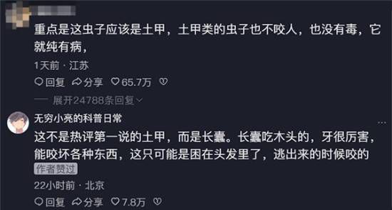 视频评论区点赞最高留言:将虫子辨识为土甲并评价其特性 第4张 视频评论区点赞最高留言:将虫子辨识为土甲并评价其特性 第4张